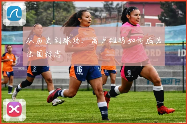 从历史到球场：高卢雄鸡如何成为法国标志